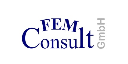 logo_fem_consult
